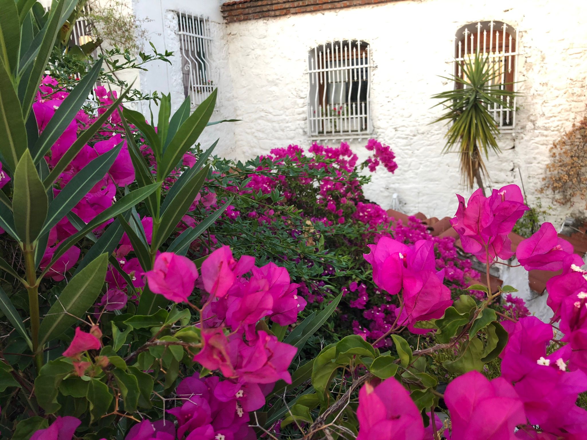 Green House — Marmaris kale içi restore taş ev, fotoğraf 5